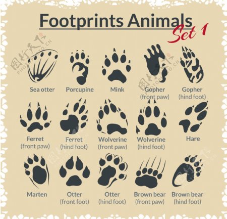 15款动物脚印设计矢量图