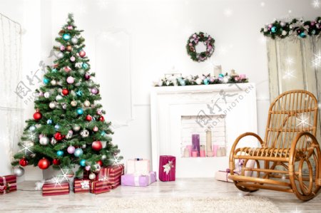家里的圣诞树图片