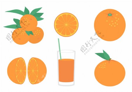 手绘扁平橙子插画