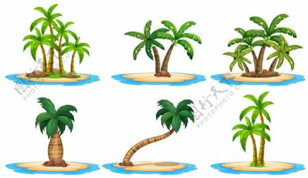 沙滩椰子树图片