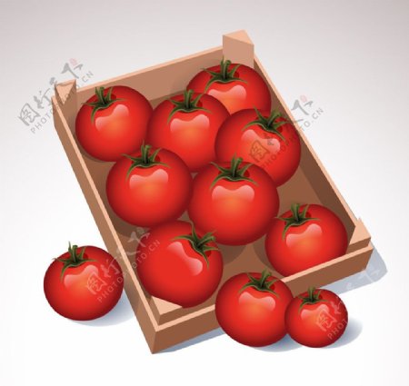 一盒逼真的西红柿矢量