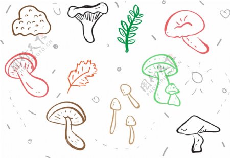 手绘线性蘑菇素材
