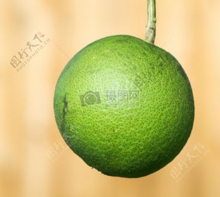 一颗绿色的橘子