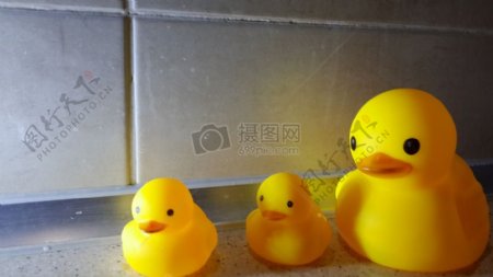 洗澡婴儿鸭鸭家庭