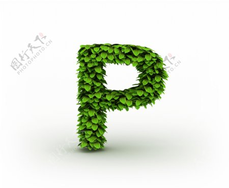 绿叶组成的字母P