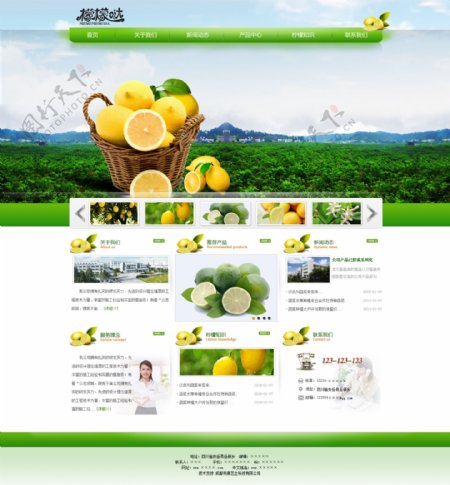 清新干净企业网站首页简约大气绿色