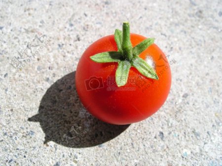 一颗红色的番茄