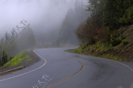 大雾天的马路风景