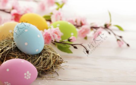 复活节彩蛋与樱花图片
