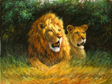 狮子油画图片