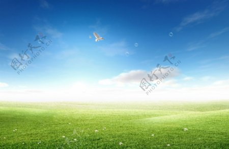 蓝天白云草地展板背景图片
