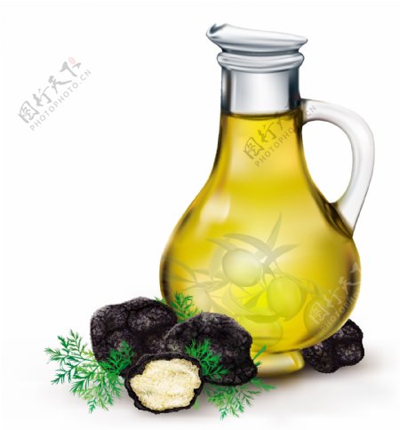 橄榄油与黑松露矢量素材下载