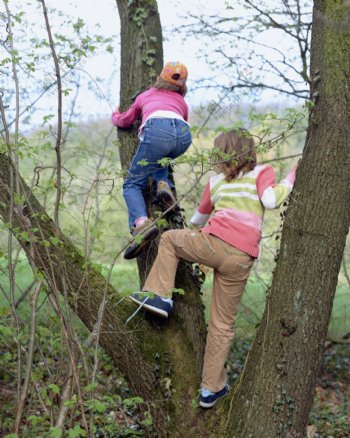 爬树的小女孩图片