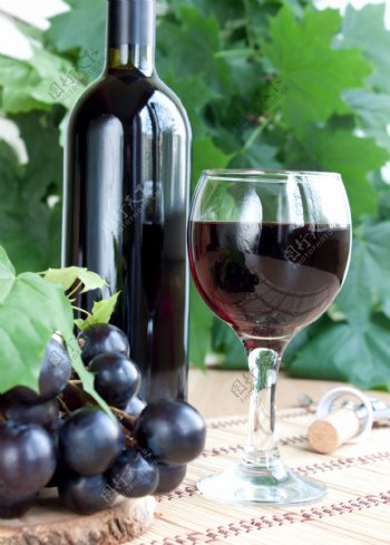葡萄酒葡萄图片