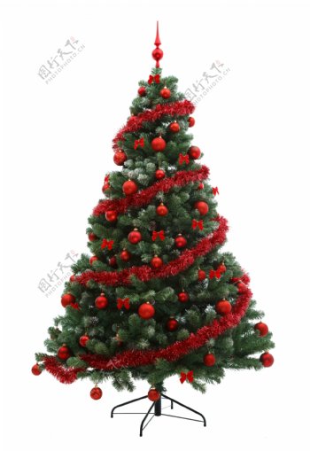 圣诞树上的红色装饰图片