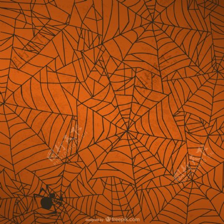 蜘蛛和蜘蛛网矢量素材