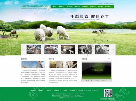 简洁大气农牧企业网站模板PSD
