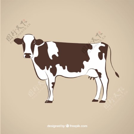 牛的插图