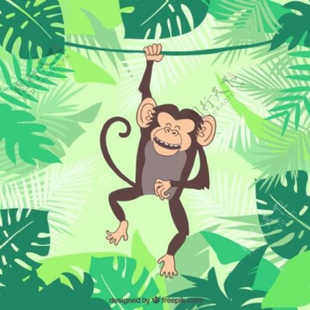 猴子的插图