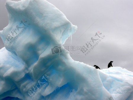 冰山南极洲企鹅