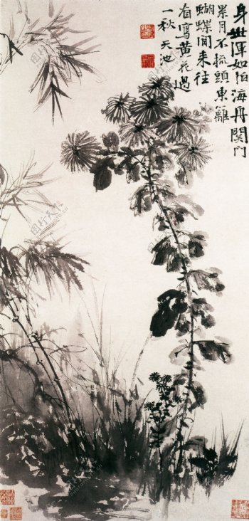 水墨菊花与水墨竹子图片