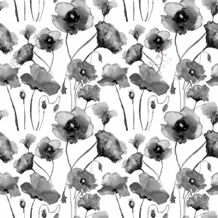 水墨罂粟花背景图片