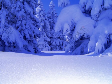 积雪美景图片