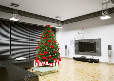 客厅里的圣诞树图片