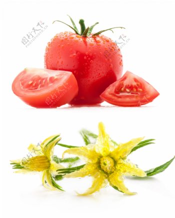 鲜花和西红柿图片