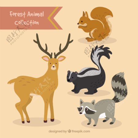 手工绘制可爱的森林动物集合