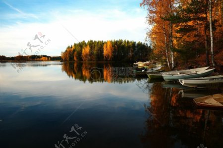 水船森林树木湖泊秋季秋天平静