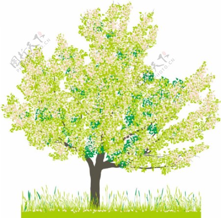 不同春季树种元素矢量图