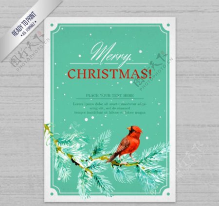 树枝上的红色鸟圣诞贺卡矢量图