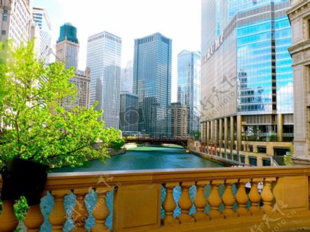 芝加哥城市景色