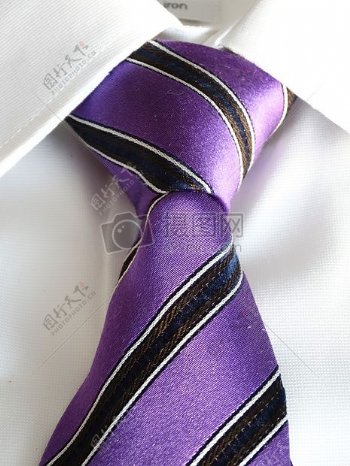 时尚商务领带