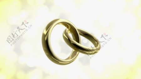 婚礼戒指视频素材