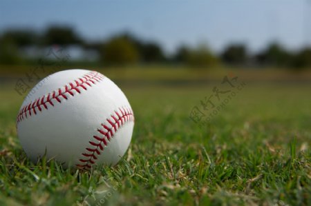 草地上的棒球