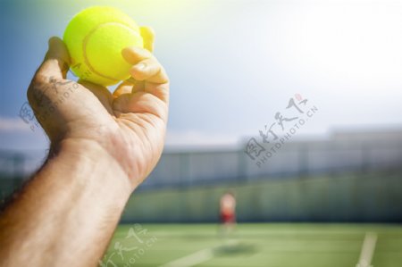 手里的网球