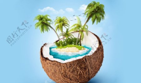 椰子里的阳光沙滩