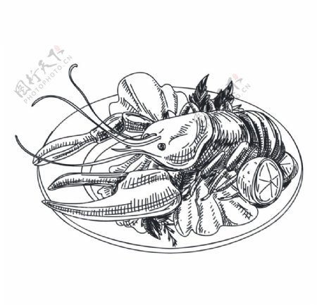 龙虾海贝手绘素材