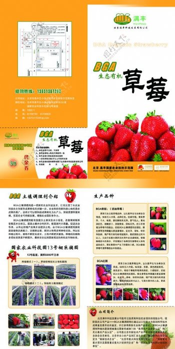 草莓折页