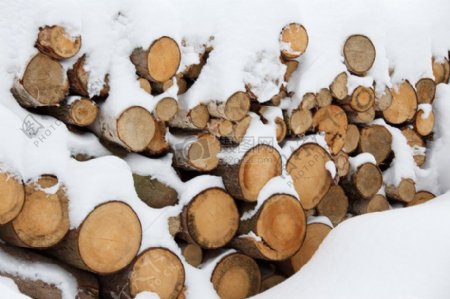 冰雪中的木材
