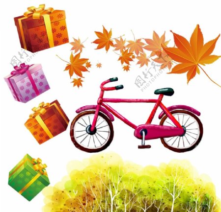 自行车枫叶礼物