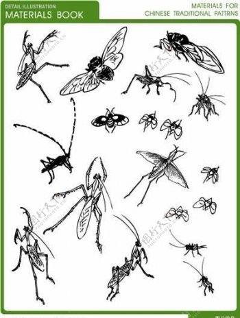 各种姿态的昆虫矢量图