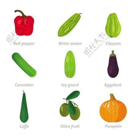 手绘各种蔬菜插图集合
