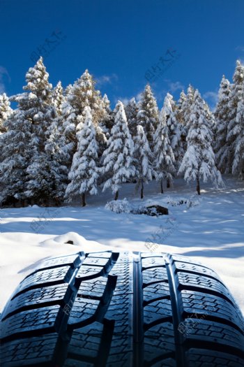 雪地上的轮胎图片