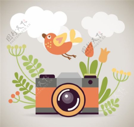 照相机与花鸟