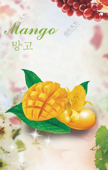 韩国水果灯箱海报设计