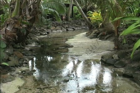 拉罗汤加岛热带流股的录像视频免费下载