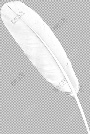 手绘白色羽毛图片免抠png透明图层素材